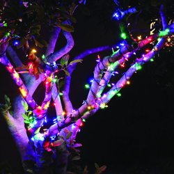 Enchanted Forest® 100-Light LED Premium Multicolor Sparkle Mini ...