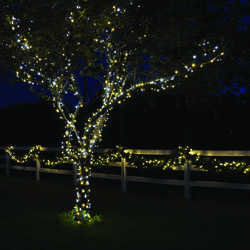 Enchanted Forest® 100-Light LED Premium Champagne Sparkle Mini ...