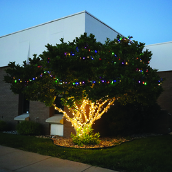 Enchanted Forest® 200-Light LED Premium Warm White Mini Christmas ...