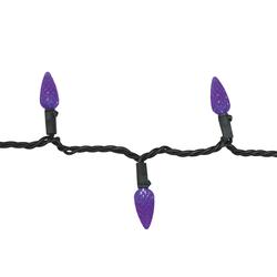 Pumpkin Hollow™ 100-Light LED Purple C6 Halloween String