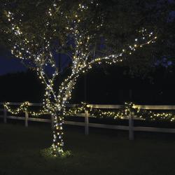 Enchanted Forest® 100-light Warm Cool White Sparkle Mini Premium 