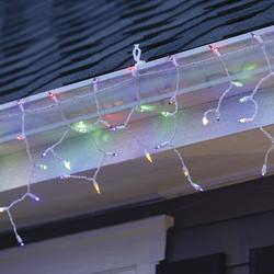 Enchanted forest led christmas lights