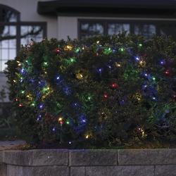 Enchanted Forest® LED Vintage 4' x 6' Multicolor Christmas Net