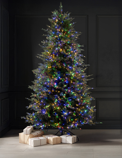 Enchanted Forest® 9' Prelit Grand Empress Fir Artificial Christmas