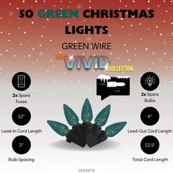 Enchanted Forest® LED Vivid 50-Light Green Faceted C3 Christmas