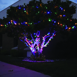 Enchanted Forest® 100-Light LED Premium Multicolor Sparkle Mini ...