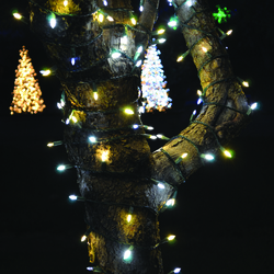Enchanted Forest® 100-Light LED Premium Champagne Sparkle Mini ...