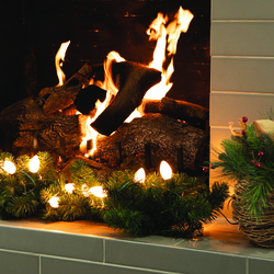 Enchanted Forest® 25-Light LED Vintage Warm White Ceramic C9
