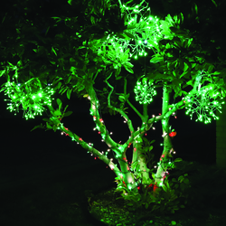 Enchanted Forest® 100-Light LED Premium Traditional(R/W/G) Sparkle Mini ...