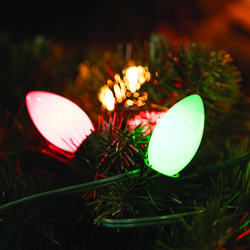 Enchanted Forest® 25-Light LED Vintage Multicolor Ceramic C9
