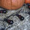 Pumpkin Hollow™ 10-Light Black Flicker Flame ST40 Halloween String Light Set