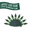 Enchanted Forest® LED Vintage 100-Light Green Mini Christmas Light Set