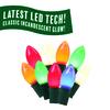 Enchanted Forest® LED Vintage 25-Light Multicolor C9 Christmas String Light Set
