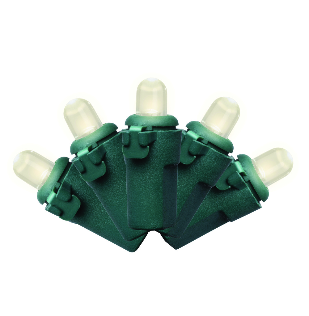 Enchanted Forest® LED Vivid 50-Light Warm White 5mm Convex Grand