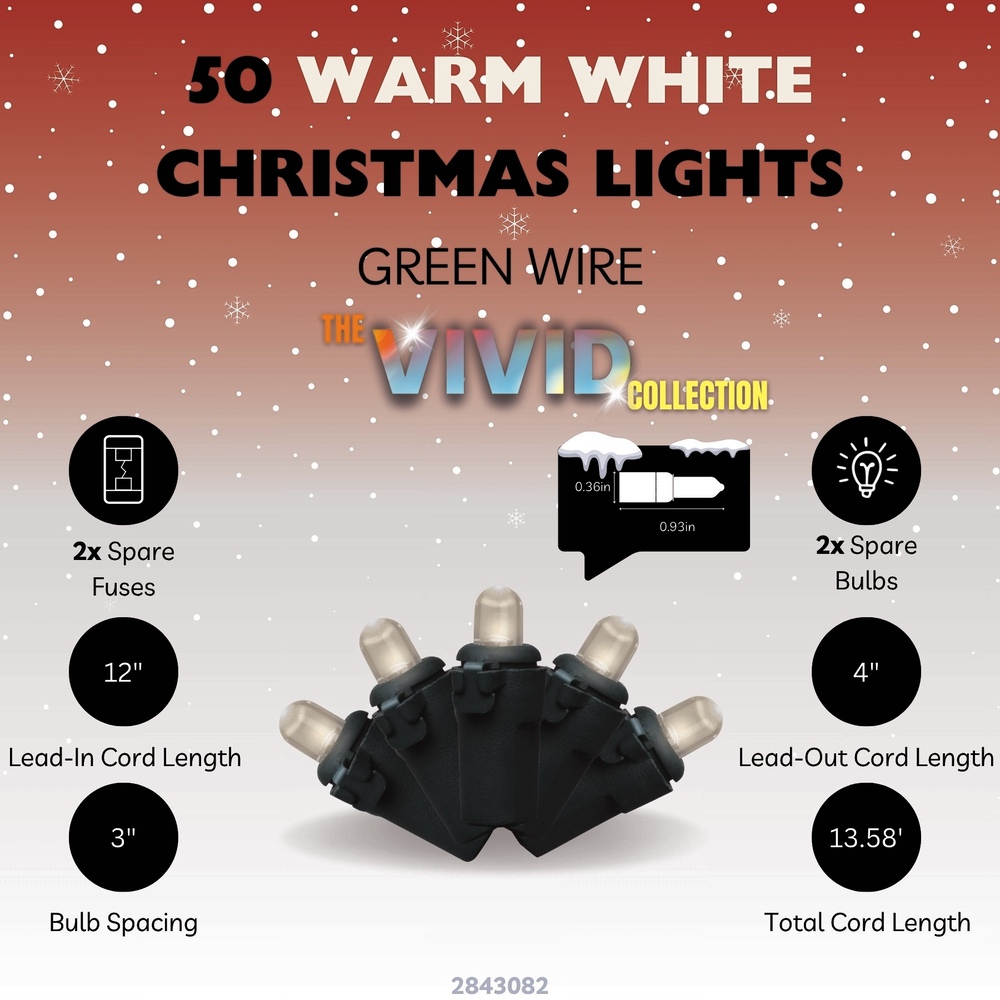 Enchanted Forest® LED Vivid 50-Light Warm White 5mm Convex Grand