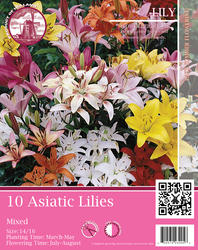 Mixed Asiatic Lily Flower Bulbs - 10 Count at Menards®