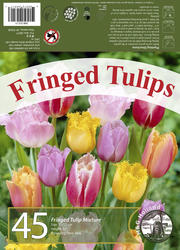 Tulips "Fringed Mixture" Flower Bulbs - 45 Count at Menards®
