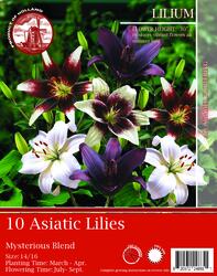 Organic Mysterious Lilies Flower Bulbs - 10 Count at Menards® Organic Mysterious Lilies Flower Bulbs - 10 Count at Menards®