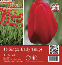 Tulip "Red Revival" Flower Bulbs - 15 Count at Menards®