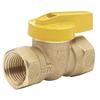 Homewerks™ 1/2" FIP 1-Piece Brass Gas Ball Valve