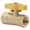 Homewerks™ 1/2" FIP 2-Piece Brass Gas Ball Valve