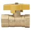 Homewerks™ 1/2" FIP 2-Piece Brass Gas Ball Valve