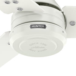 Hunter® Cassius 60
