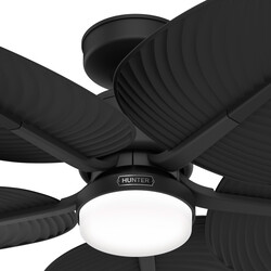 Hunter® Tropic View 52