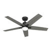 Hunter® HunterExpress® Rapidan 52" Matte Black Indoor LED Ceiling Fan with Remote