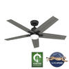 Hunter® HunterExpress® Rapidan 52" Matte Black Indoor LED Ceiling Fan with Remote
