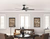 Hunter® HunterExpress® Rapidan 52" Matte Black Indoor LED Ceiling Fan with Remote