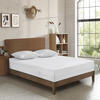 Dream Safe Full Total Protection Mattress Encasement