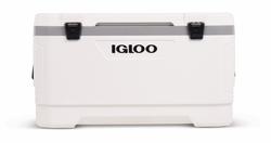 Menards hot sale igloo cooler