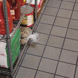 8-Quart Digital Air Fryer