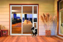 Jeld wen patio door with dog door store