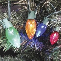 Enchanted Forest® 25-Light Multicolor C9 Christmas String Light Set at ...
