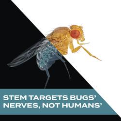 STEM Fruit Fly Trap