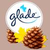 Glade PlugIns Apple Cinnamon Oil Refills 1.3 Oz Apple Cinnamon Scent Carton  Of 12 - Office Depot