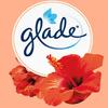 Glade PlugIns Apple Cinnamon Oil Refills 1.3 Oz Apple Cinnamon Scent Carton  Of 12 - Office Depot