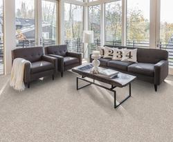 Joy Carpets® Lazy Day Sand Plush Carpet 13.5 ft. Wide at Menards®