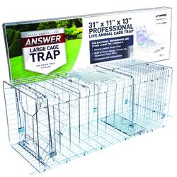Answer® Medium Catch & Release Live Trap at Menards®