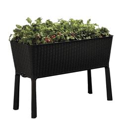 Keter® Easy Grow 44.9" X 19.4" Resin Elevated Garden Bed At Menards®