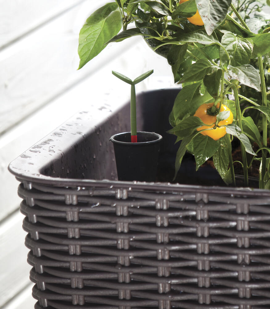 Keter Easy Grow Elevated Garden Bed - Thumbnail 3