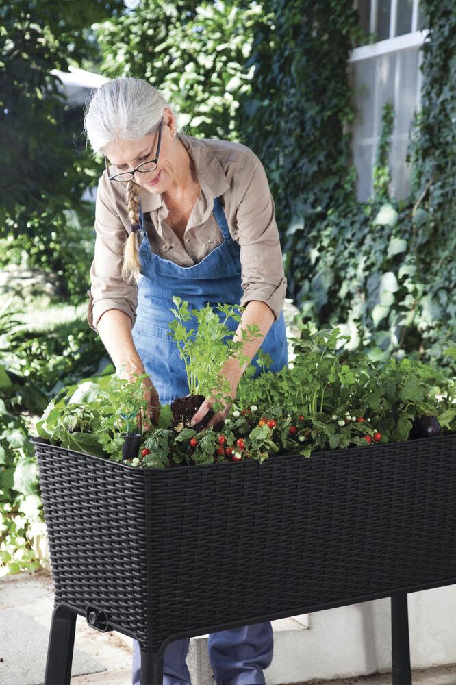 Keter Easy Grow Elevated Garden Bed - Thumbnail 5