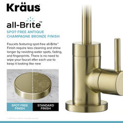 Luxury Kitchen Faucet in Spot Free Antique Champagne Bronze