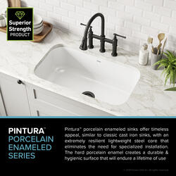 the enameled kitchen sink