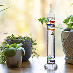 La Crosse Technology® Galileo Thermometer at Menards®