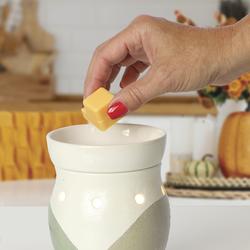 Fall Festival 2.5oz Fragrance Melt - Assorted Styles at Menards®