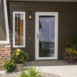 Menards storm door outlet with pet door