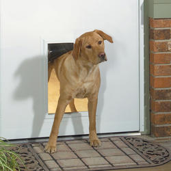 Storm door with 2025 dog door menards